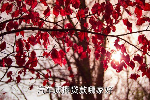 車子綠本抵押貸款平臺(車抵押綠本貸款有什么套路)? (http://www.osahdrypack.cn/) 知識問答 第3張