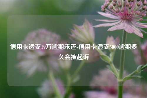 車子抵押貸款要看征信嗎(抵押車貸查征信嗎)? (http://www.osahdrypack.cn/) 知識問答 第1張