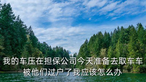 汽車過戶貸款靠譜嗎(希財網(wǎng)貸款靠譜嗎)? (http://www.osahdrypack.cn/) 知識問答 第1張