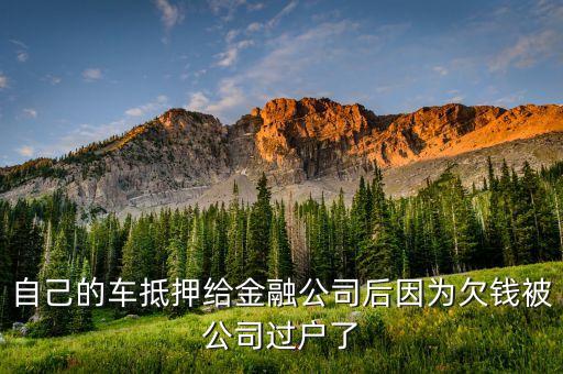 汽車過戶貸款靠譜嗎(希財網(wǎng)貸款靠譜嗎)? (http://www.osahdrypack.cn/) 知識問答 第3張