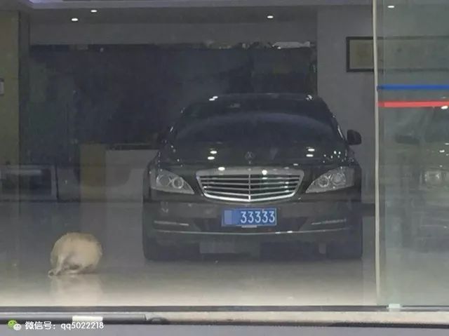 什么平臺可以抵押車(抵押車平臺可以注銷嗎)? (http://www.osahdrypack.cn/) 知識問答 第1張