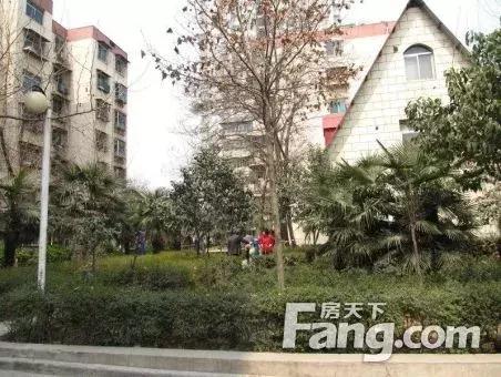 車輛抵押融資哪個平臺好(土地違規抵押融資)? (http://www.osahdrypack.cn/) 知識問答 第2張