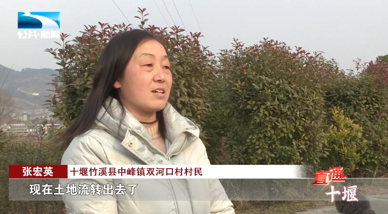 汽車抵押融資哪里好(車輛抵押融資)? (http://www.osahdrypack.cn/) 知識(shí)問答 第11張