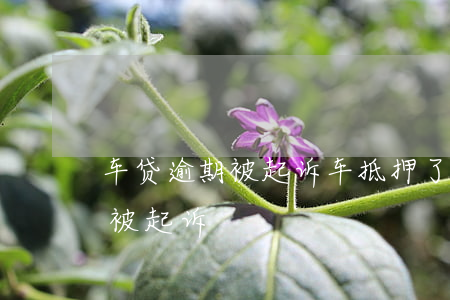 車子抵押貸款怎么貸(抵押貸款汽車)? (http://www.osahdrypack.cn/) 知識問答 第2張