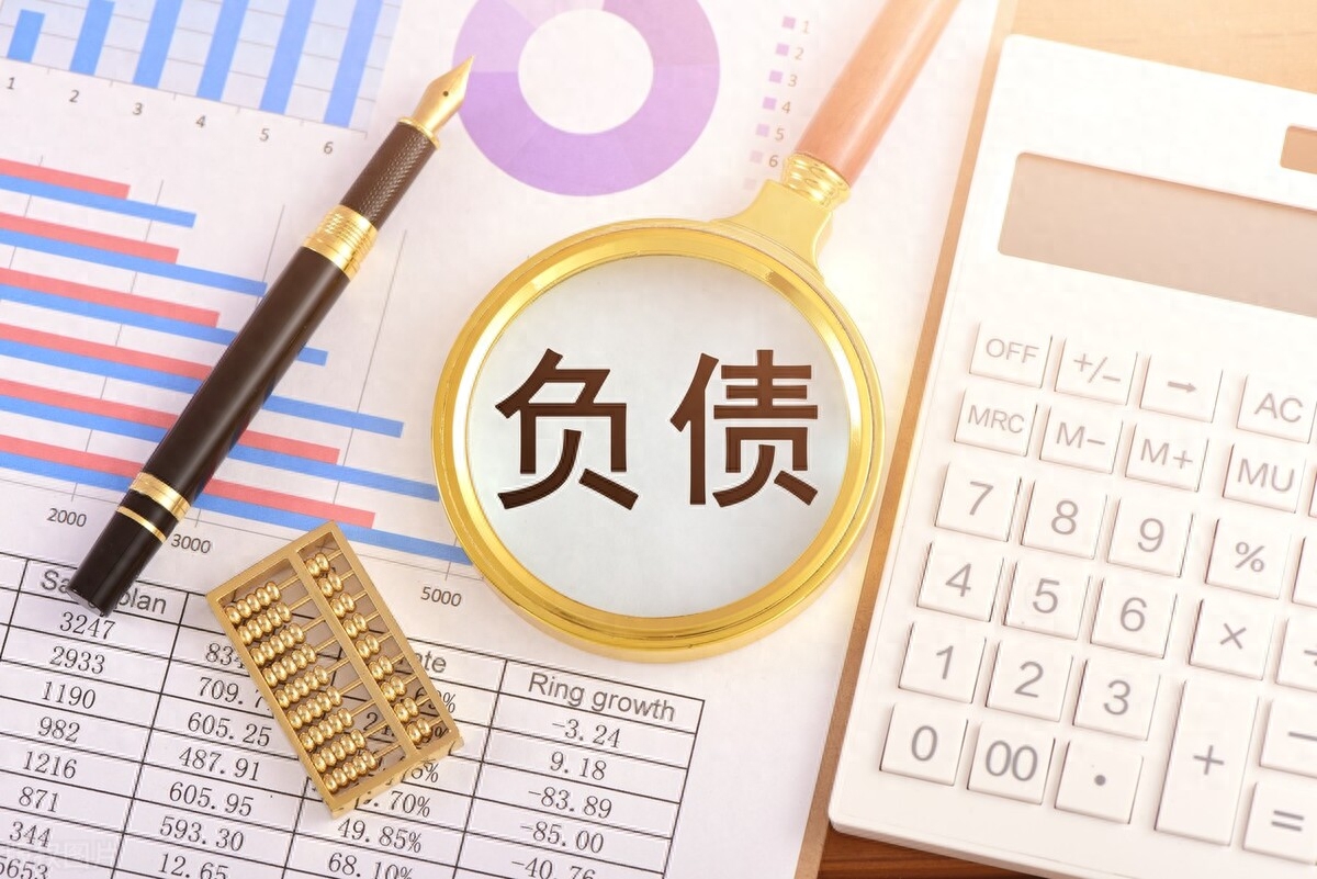 不查征信和負(fù)債的正規(guī)貸款(負(fù)債征信查詢)? (http://www.osahdrypack.cn/) 知識問答 第3張