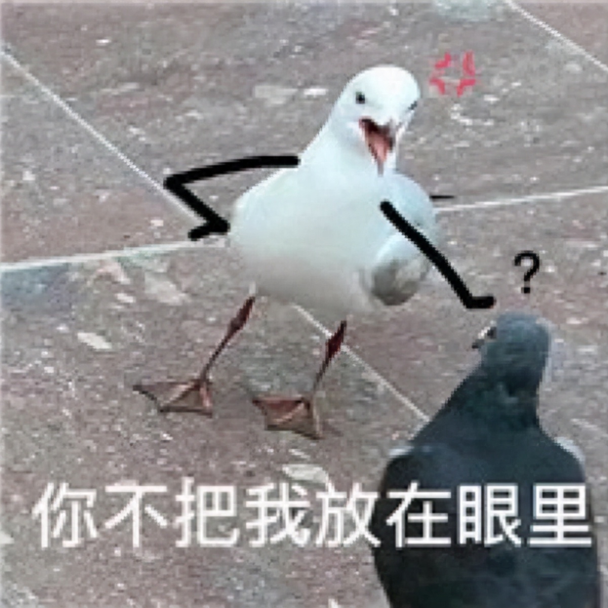 不押車不看征信貸款(押車貸款看征信嗎)? (http://www.osahdrypack.cn/) 知識(shí)問答 第1張
