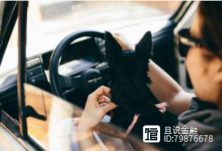 車子抵押借錢(抵押車子借錢合同)? (http://www.osahdrypack.cn/) 知識問答 第5張