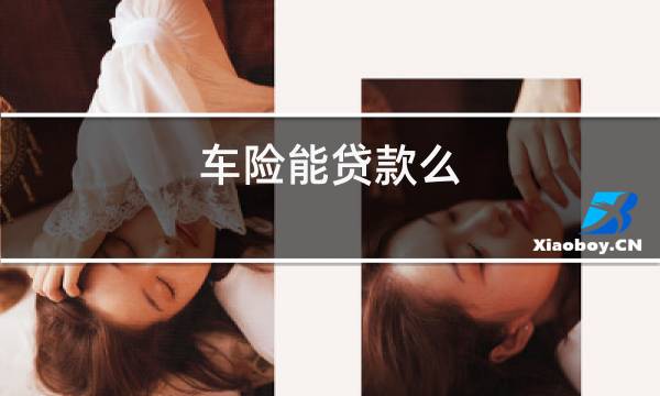 車險能貸款嗎(貸款車險第二年怎么買)? (http://www.osahdrypack.cn/) 知識問答 第1張