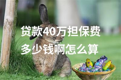 貸款擔保公司一般怎么收費(擔保收費貸款一般公司有哪些)? (http://www.osahdrypack.cn/) 知識問答 第1張