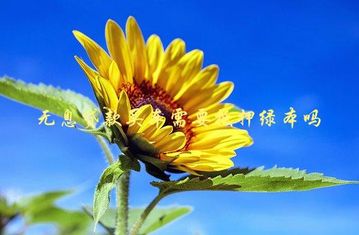 沒(méi)綠本車(chē)可以抵押?jiǎn)?抵押車(chē)沒(méi)綠本可以報(bào)廢處理嗎)? (http://www.osahdrypack.cn/) 知識(shí)問(wèn)答 第1張