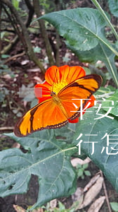 平安車主貸款怎么貸需要什么條件(平安車主貸要去銀行弄嗎)? (http://www.osahdrypack.cn/) 知識問答 第2張