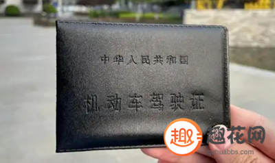 駕照貸額度8000到50000(駕證貸款能貨多少錢)? (http://www.osahdrypack.cn/) 知識問答 第1張