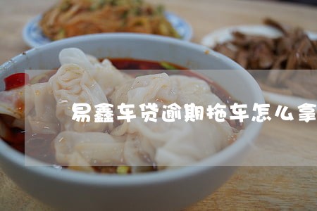 易鑫車貸(易鑫車貸款)? (http://www.osahdrypack.cn/) 知識問答 第1張