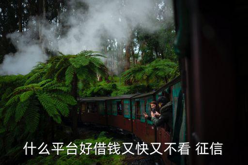 不查征信的網貸(網貸征信查多了多久能恢復)? (http://www.osahdrypack.cn/) 知識問答 第1張