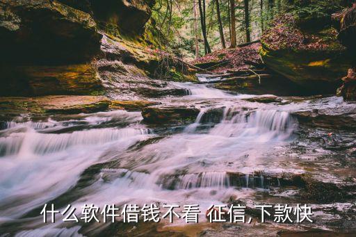 不查征信的網貸(網貸征信查多了多久能恢復)? (http://www.osahdrypack.cn/) 知識問答 第2張