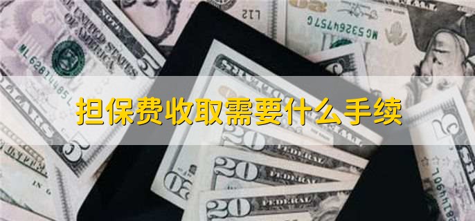 貸款擔保公司一般怎么收費(擔保公司貸款服務費收取標準)? (http://www.osahdrypack.cn/) 知識問答 第2張