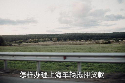 上海車輛貸款不押車(上海車抵押貸款不押車)? (http://www.osahdrypack.cn/) 知識問答 第3張