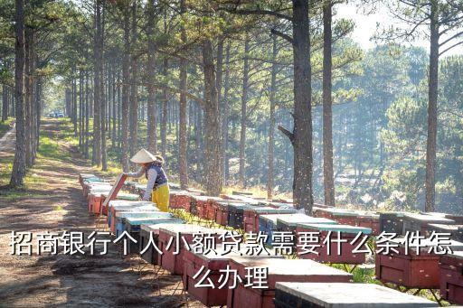 行駛證貸款(機動車行駛證貸款)? (http://www.osahdrypack.cn/) 知識問答 第3張