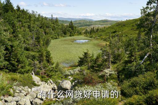 正規網絡貸款平臺哪個靠譜好申請(貸款正規的平臺)? (http://www.osahdrypack.cn/) 知識問答 第2張