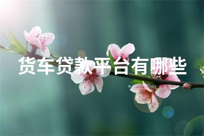 車子不抵押貸款(抵押車子貸款有什么風險)? (http://www.osahdrypack.cn/) 知識問答 第1張