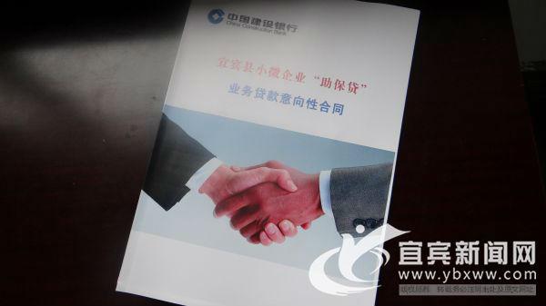 宜賓汽車抵押貸款(抵押宜賓貸款汽車可以嗎)? (http://www.osahdrypack.cn/) 知識(shí)問(wèn)答 第3張