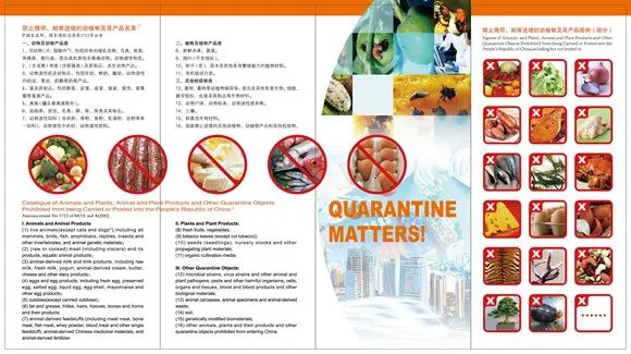 滬牌可以貸款嗎(貸款滬牌可以買車嗎)? (http://www.osahdrypack.cn/) 知識問答 第17張