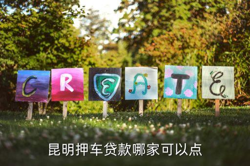 上海車子抵押貸款哪里可以做(上海的抵押車能買嗎)? (http://www.osahdrypack.cn/) 知識問答 第1張