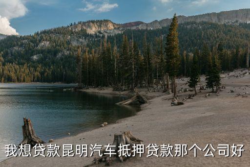 上海車子抵押貸款哪里可以做(上海的抵押車能買嗎)? (http://www.osahdrypack.cn/) 知識問答 第2張