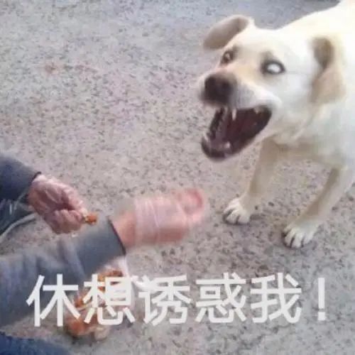 第三方車輛抵押貸款靠譜嗎%3F(三方抵押車可以買嗎)? (http://www.osahdrypack.cn/) 知識問答 第2張