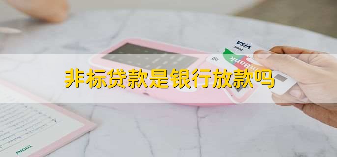 非標(biāo)貸款辦理(非標(biāo)貸款一定能批下來嗎)? (http://www.osahdrypack.cn/) 知識問答 第1張