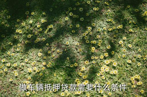 公司車抵押(抵押車公司戶好還是個人戶好)? (http://www.osahdrypack.cn/) 知識問答 第1張