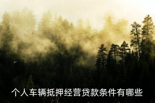 公司車抵押(抵押車公司戶好還是個人戶好)? (http://www.osahdrypack.cn/) 知識問答 第2張