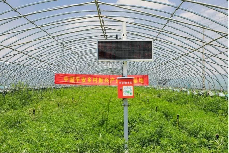 平安普惠(普惠平安保險)? (http://www.osahdrypack.cn/) 知識問答 第21張