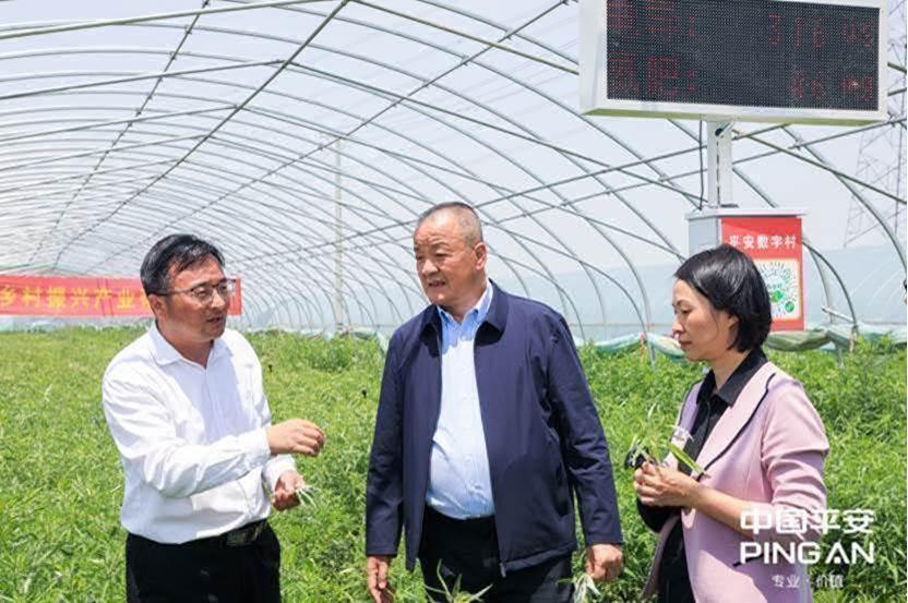 平安普惠(普惠平安保險)? (http://www.osahdrypack.cn/) 知識問答 第22張