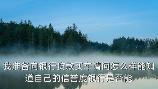 汽車貸款那家銀行的不知道怎么辦(貸款買車銀行會打電話給家人嗎)? (http://www.osahdrypack.cn/) 知識問答 第3張