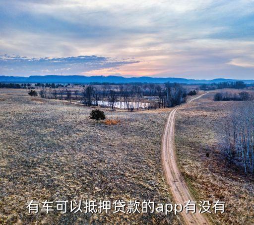 什么軟件可以代還車貸(貸代車軟件可以注銷嗎)? (http://www.osahdrypack.cn/) 知識問答 第1張