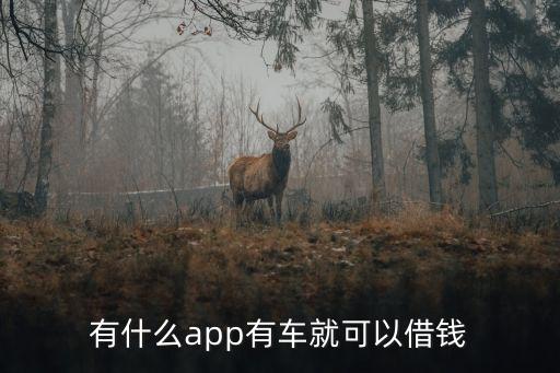 什么軟件可以代還車貸(貸代車軟件可以注銷嗎)? (http://www.osahdrypack.cn/) 知識問答 第2張