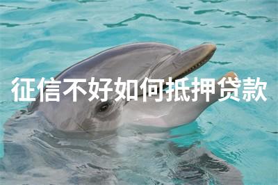征信不好不押車貸款(押征信貸款車好過戶嗎)? (http://www.osahdrypack.cn/) 知識問答 第1張