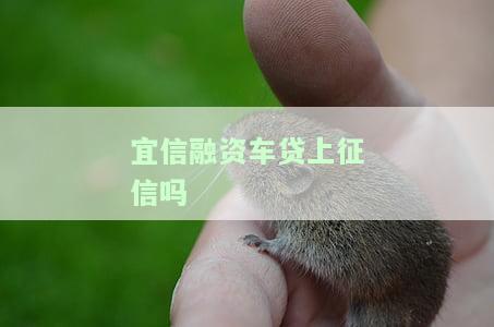 易車貸(易車貸)? (http://www.osahdrypack.cn/) 知識問答 第1張