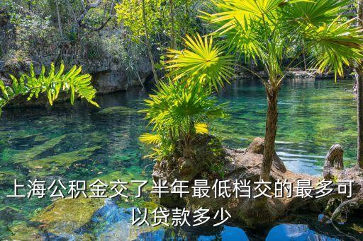 車輛抵押貸款 上海(抵押上海貸款車輛怎么辦)? (http://www.osahdrypack.cn/) 知識問答 第3張
