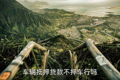 車輛抵押貸款哪個平臺利息最低(專業汽車抵押貸款利息低)? (http://www.osahdrypack.cn/) 知識問答 第3張