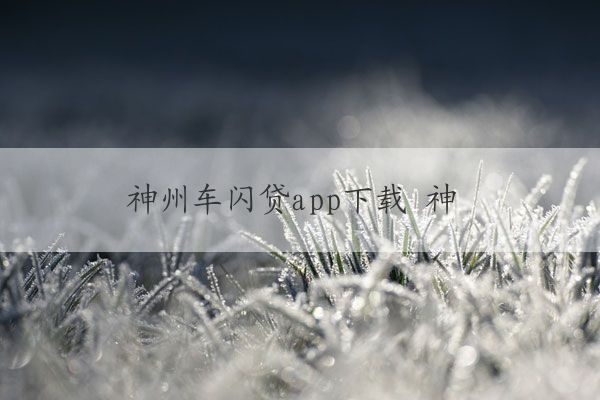 神州車閃貸app(神州閃貸抵押車安全嗎)? (http://www.osahdrypack.cn/) 知識問答 第1張