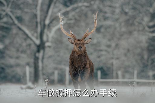 辦理車輛抵押貸款需要什么資料(抵押貸款車輛辦理資料需要哪些)？ (http://www.osahdrypack.cn/) 知識問答 第1張