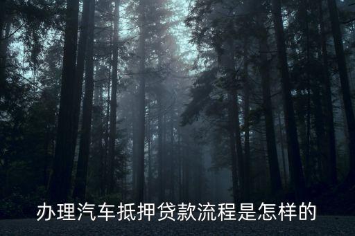 辦理車輛抵押貸款需要什么資料(抵押貸款車輛辦理資料需要哪些)？ (http://www.osahdrypack.cn/) 知識問答 第2張