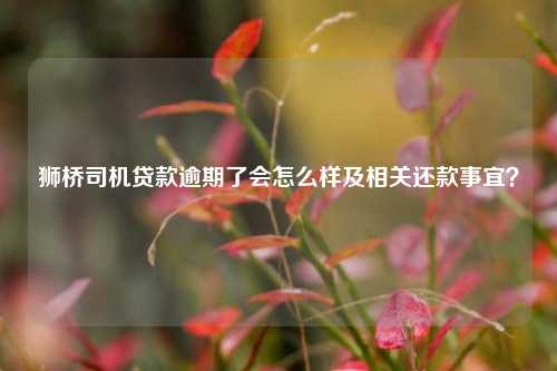 獅橋車抵貸(獅橋車抵貸利率是多少)？ (http://www.osahdrypack.cn/) 知識問答 第1張