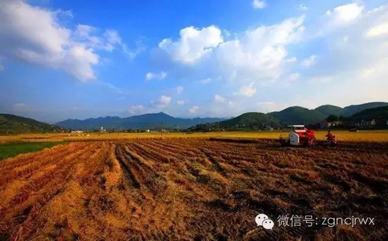 安吉汽車抵押貸款公司(安吉汽車抵押貸款公司客服)？ (http://www.osahdrypack.cn/) 知識問答 第2張