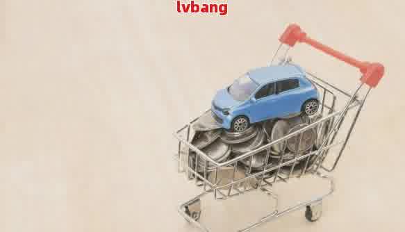 有車輛抵押貸款(抵押貸款車輛有什么影響)？ (http://www.osahdrypack.cn/) 知識問答 第1張