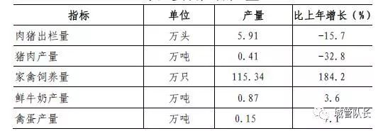 上海私家車抵押(上海抵押車私人抵押)？ (http://www.osahdrypack.cn/) 知識問答 第2張