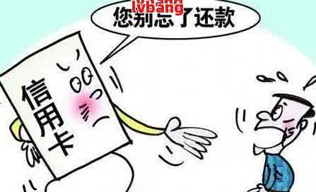 車抵押貸款平臺有(有哪些抵押車貸公司正規的)？ (http://www.osahdrypack.cn/) 知識問答 第5張