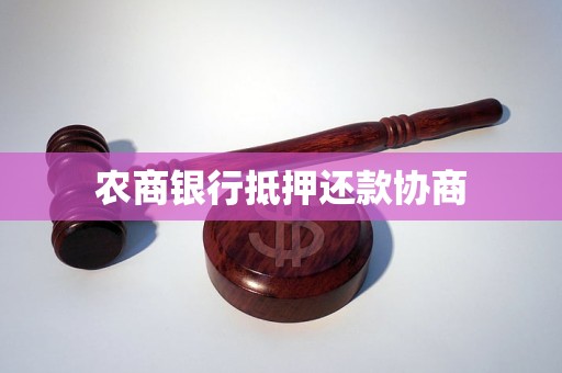 農(nóng)商銀行汽車抵押貸(農(nóng)商銀行用車抵押貸款怎么貸)？ (http://www.osahdrypack.cn/) 知識問答 第1張